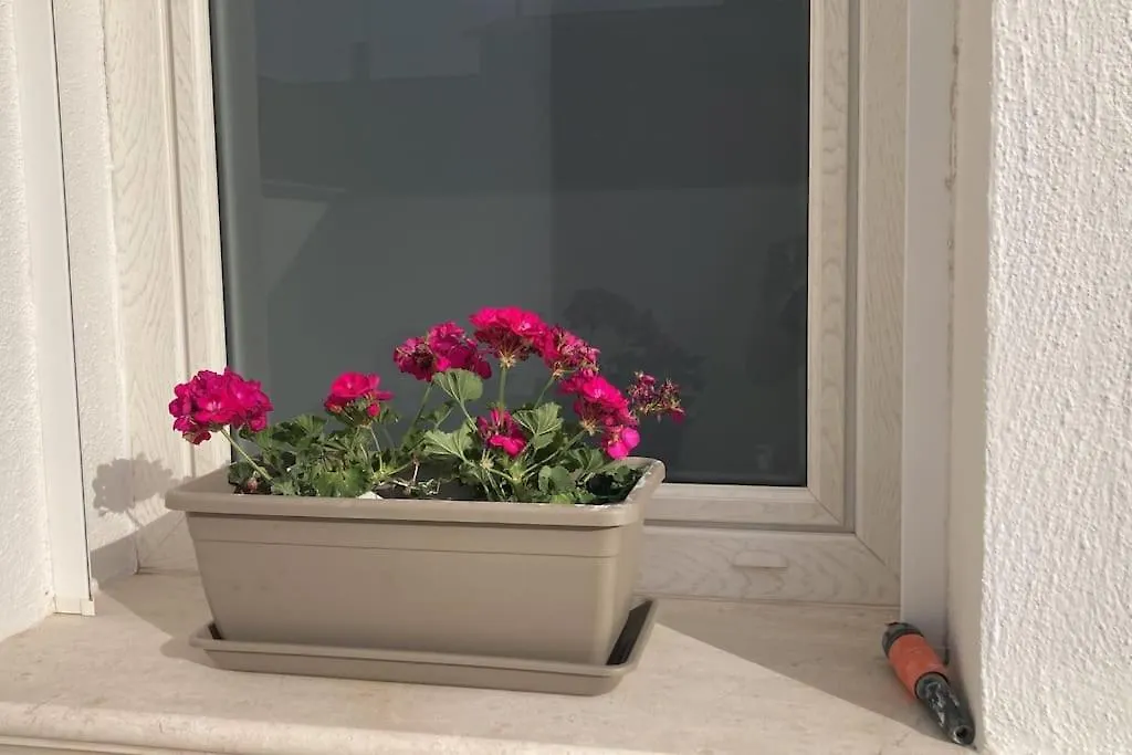 Casa Mosaico Iun R9770 Διαμέρισμα SantʼAntìoco